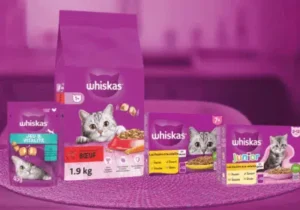 échantillons gratuits Whiskas chaton