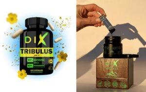 compléments DIX Shilajit Tribulus